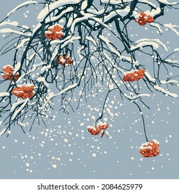 A beautiful winter landscape with snow-covered branches and red clusters of mountain ash against a gray sky. Snowy vector illustration on a winter day with good weather