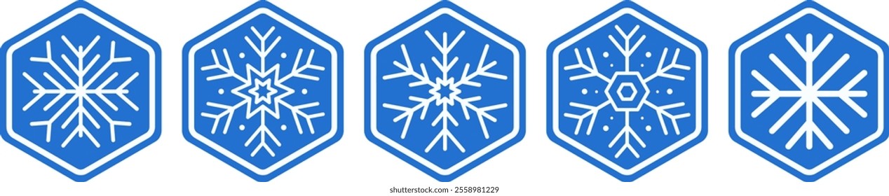 Beautiful Winter Snowflakes Vector Illustration Set