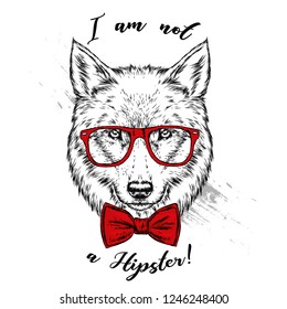Beautiful wolf or dog with glasses and tie. Vector illustration for postcard, print on clothes. Fashion & Style.