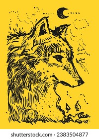 Beautiful wolf drawing. Magical illustration with ink. Graphic art. The head of the wolf.