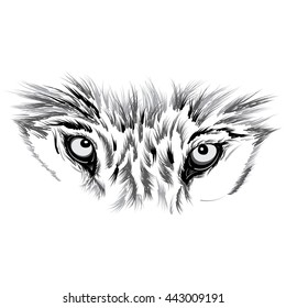 Wolfs Face Stock Vector (Royalty Free) 240149587 | Shutterstock