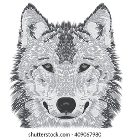 Beautiful wolf's face. Vector illustration