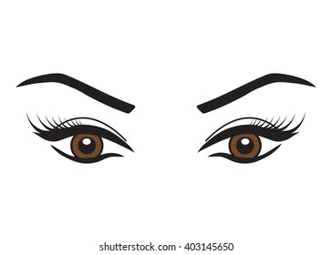 Beautiful woman brown eyes with eyebrows. 