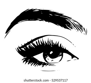 Beautiful Woman Eye And Brow