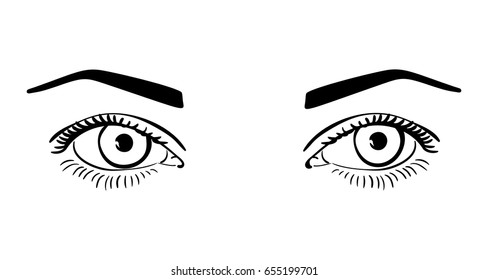 Beautiful woman eyes and brows isolated on white background, Vector illustration