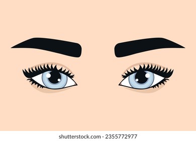 Beautiful woman eyes with curled lashes and eyebrows. Vector illustration