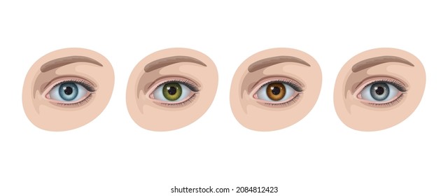 Beautiful woman eyes with irises of blue, green, brown and gray colors. Concept of color variety and diversity of human eyes, beautiful people