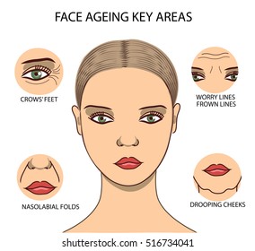 Beautiful woman face with  ageing troubles set. Vector illustration of places where wrinkles and folds appear in the first. Face ageing key areas.