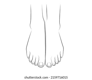 Dibujo de la línea de los pies de la mujer hermosa aislado en fondo blanco - ilustración vectorial