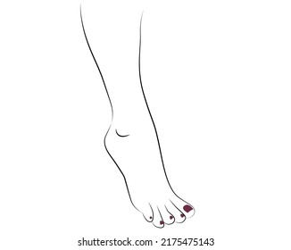 Hermosa pierna y pies de mujer con esmalte de uñas aislado en fondo blanco - ilustración vectorial