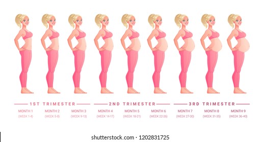 Beautiful Woman On Different Stages Pregnancy Stock Vector (Royalty ...