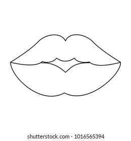 Beautiful womens lips