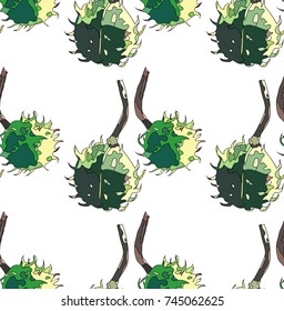 Beautiful wonderful graphic bright floral herbal autumn green chestnuts pattern vector illustration.  Perfect for textile, wallpapers, wrapping paper, greeting cards