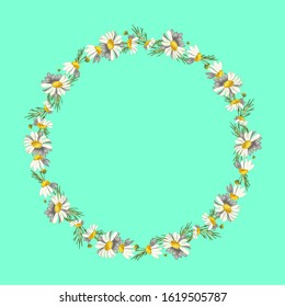 Beautiful wreath of field daisies on a aqua menthe background. Pharmacy medicinal chamomile with leaves. Realistic style. Spring pattern. Rustic decor.