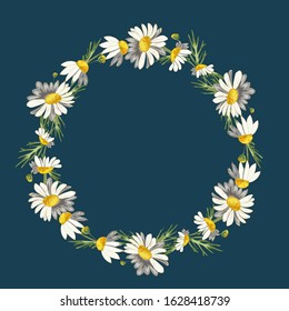 Beautiful wreath of field daisies on a white background. Pharmacy medicinal chamomile with leaves. Realistic style. Spring pattern. Rustic decor.