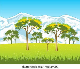 Beautiful year landscape