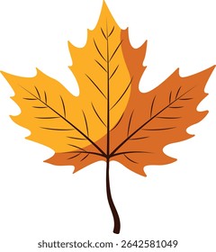 Beautiful yellow autumn maple leaf illustration, isolated on white background, perfect for seasonal decorations, Thanksgiving designs, fall invitations, and crafts.

