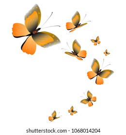 beautiful yellow butterflies, isolated on a white