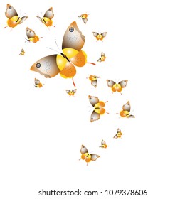 beautiful yellow butterflies, isolated on a white