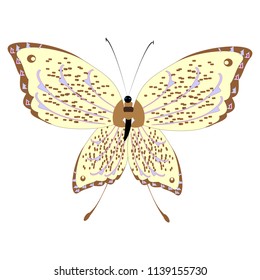 beautiful yellow butterflies, isolated on a white