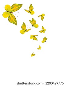 beautiful yellow butterflies, isolated on a white