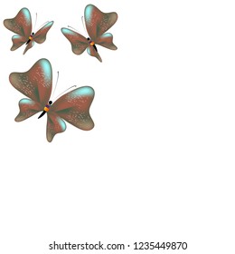 beautiful yellow butterflies, isolated on a white