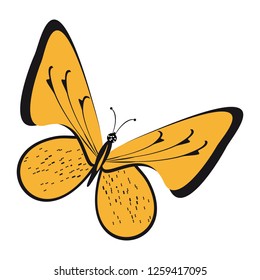 beautiful yellow butterflies, isolated on a white