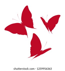 beautiful yellow butterflies, isolated on a white