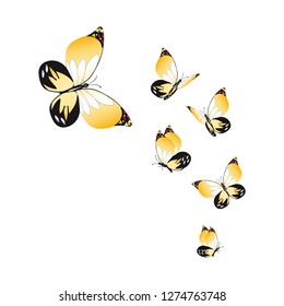 beautiful yellow butterflies, isolated on a white