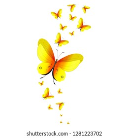 beautiful yellow butterflies, isolated on a white