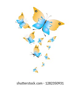 beautiful yellow butterflies, isolated on a white