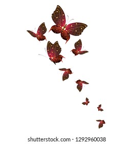 beautiful yellow butterflies, isolated on a white