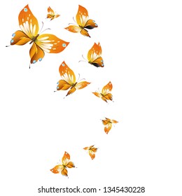 beautiful yellow butterflies, isolated on a white