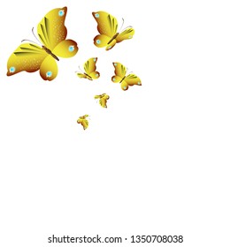 beautiful yellow butterflies, isolated on a white
