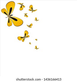 beautiful yellow butterflies, isolated on a white