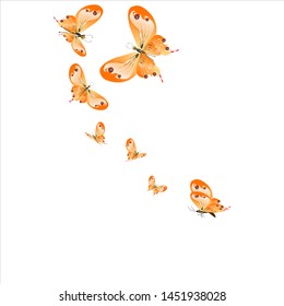 beautiful yellow butterflies, isolated on a white