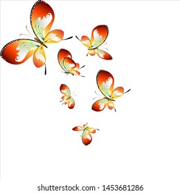 beautiful yellow butterflies, isolated on a white