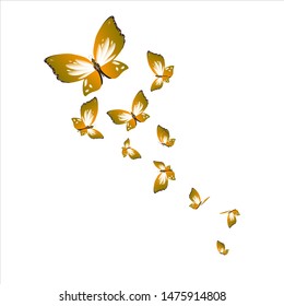 beautiful yellow butterflies, isolated on a white