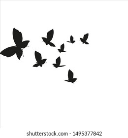 beautiful yellow butterflies, isolated on a white