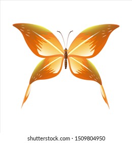 beautiful yellow butterflies, isolated on a white