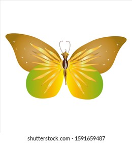 beautiful yellow butterflies, isolated on a white