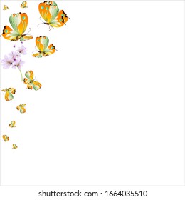 beautiful yellow butterflies, isolated on a white