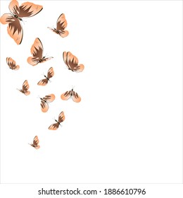 beautiful yellow butterflies, isolated on a white