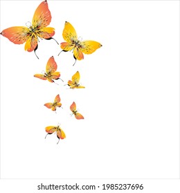 beautiful yellow butterflies, isolated on a white