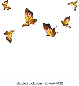 beautiful yellow butterflies, isolated on a white