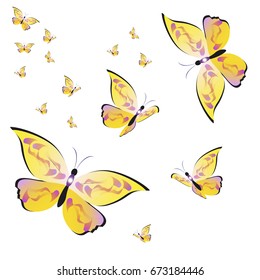 beautiful yellow butterflies, isolated on a white