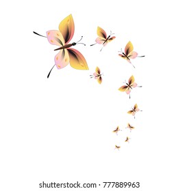 beautiful yellow butterflies, isolated on a white