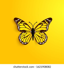 beautiful yellow butterfly on the background