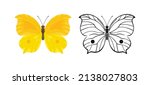 Beautiful Yellow Butterfly set. Vector cartoon flat illustration of insect and outline silhouette. 