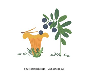 Lindo amarelo cogumelo de Chanterelle na grama com ramo de mirtilo isolado no fundo branco. Cogumelo comestível saboroso como um símbolo da caça silenciosa, outono, floresta, ícone. Ilustração em plano vetorial